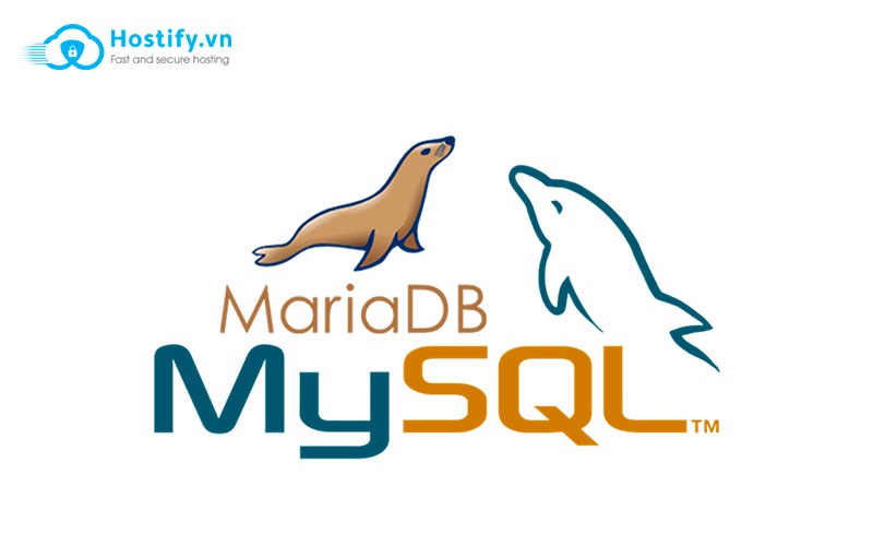 MariaDB là gì?