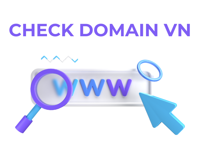Một số lưu ý quan trọng khi check domain .vn