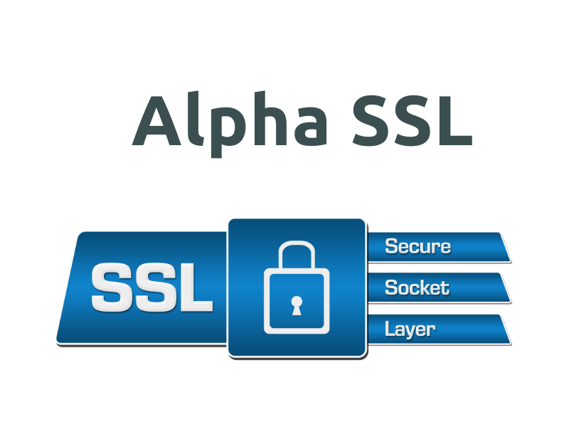 Mua chứng chỉ số Alpha SSL ở đâu uy tín?