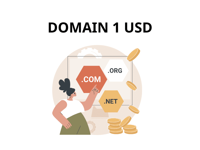 domain 1 usd