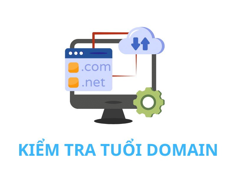 Tuổi domain là gì? Tại sao cần kiểm tra?