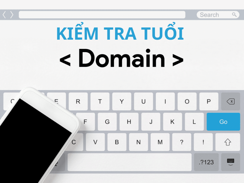 Hướng dẫn cách kiểm tra tuổi domain cho người mới
