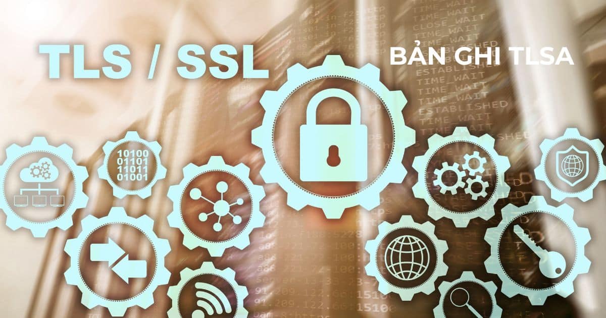 Cấu trúc của bản ghi TLSA gồm 3 phần