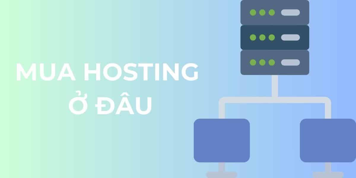 Những hậu quả khi chọn nhầm nhà cung cấp hosting
